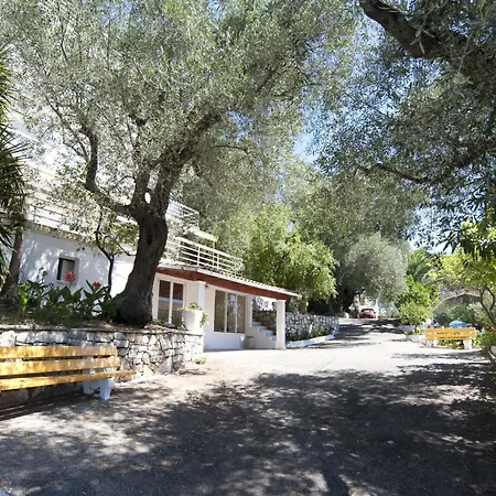 Paradise בארבאטי